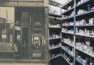 The Historical Development of Pharmacy in Indonesia